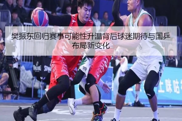 樊振东回归赛事可能性升温背后球迷期待与国乒布局新变化